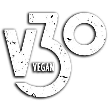 V30 Logo shadow
