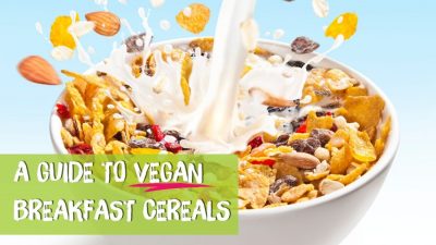 Guide to Vegan Cereal Banner