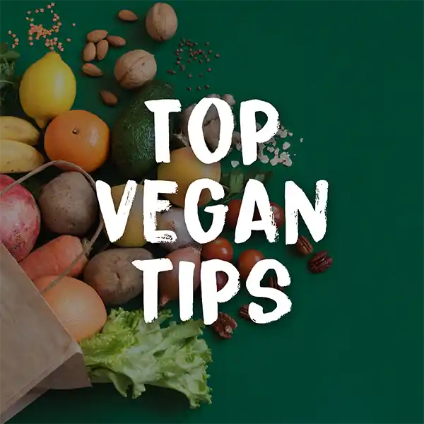 Top vegan tips